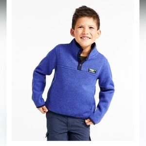 L.L. Bean Vibrant Purple Knit Sweater